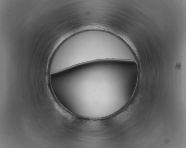 X0000093260845200709261616