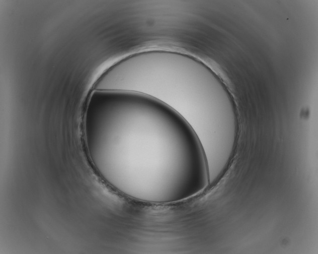 X0000093260846200709261616