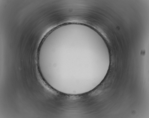 X0000093260848200709261616