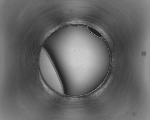 X0000093260849200709261616