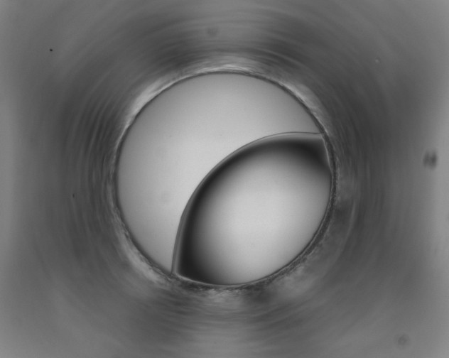 X0000093260850200709261616