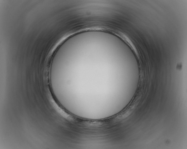 X0000093260851200709261616
