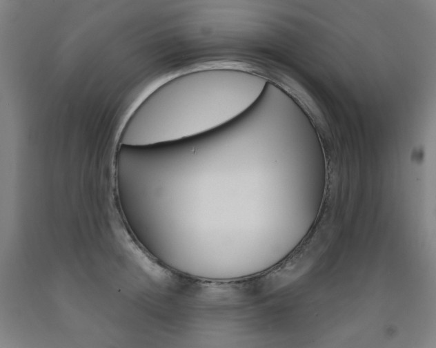 X0000093260852200709261616