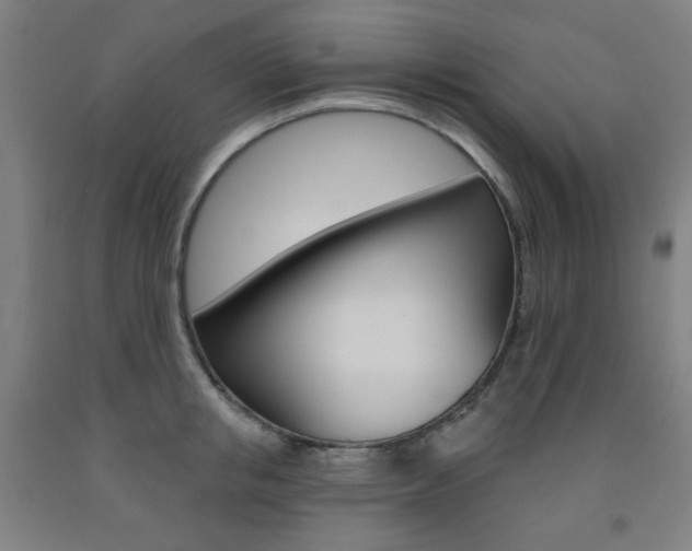 X0000093260853200709261616