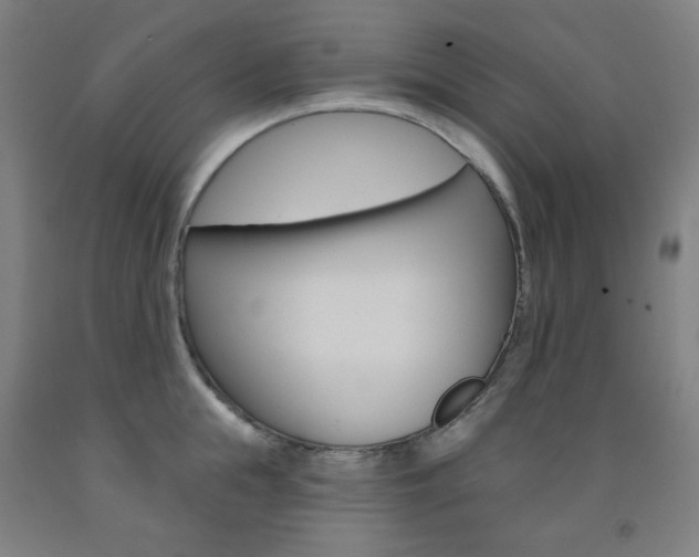 X0000093260855200709261617