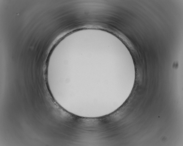 X0000093260856200709261617