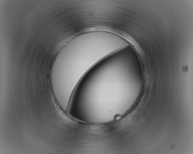 X0000093260857200709261617