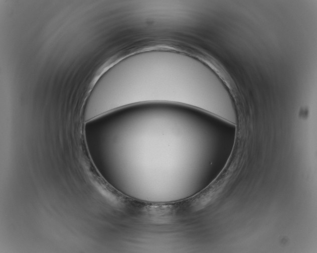 X0000093260858200709261617