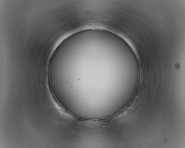 X0000093260861200709261617