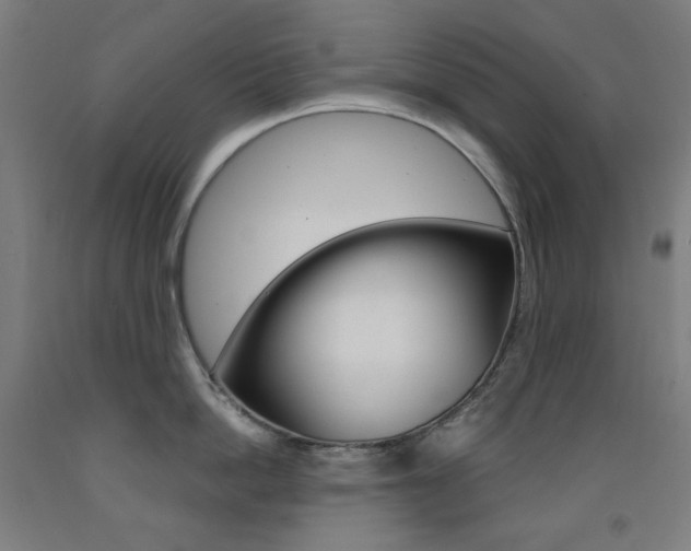 X0000093260862200709261617