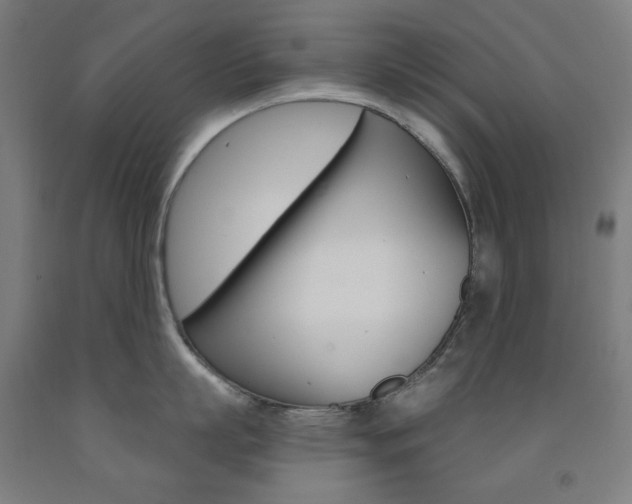 X0000093260863200709261617