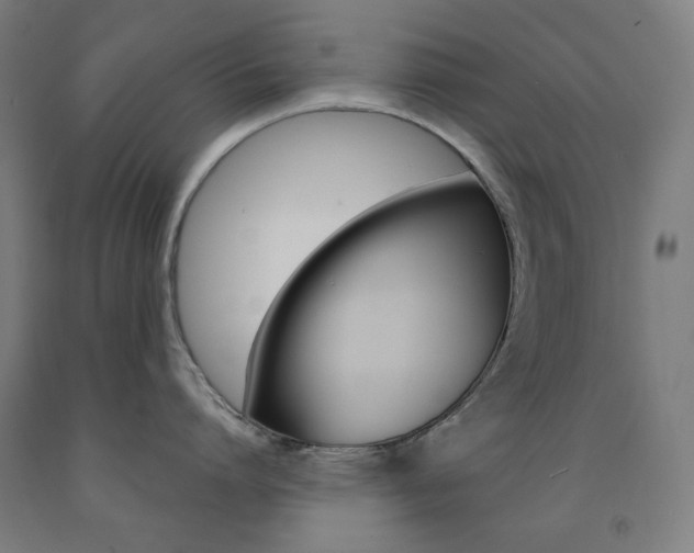 X0000093260864200709261617