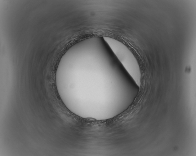 X0000093260865200709261616