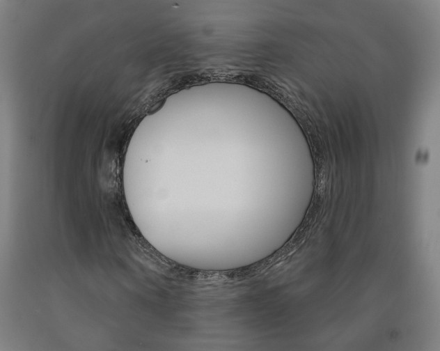 X0000093260866200709261616