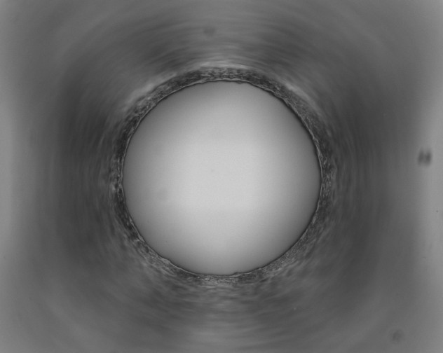 X0000093260870200709261616