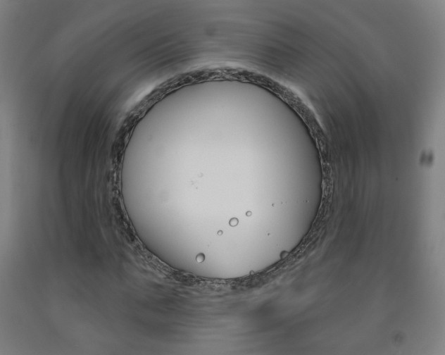 X0000093260871200709261616