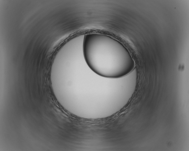 X0000093260872200709261616