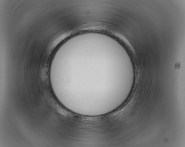 X0000093260874200709261616