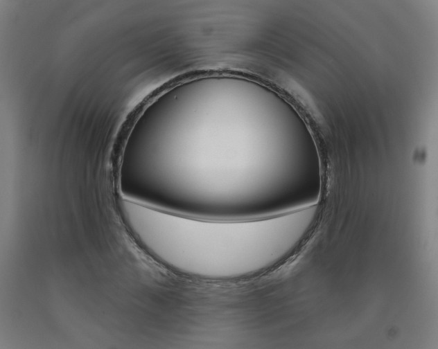 X0000093260876200709261616