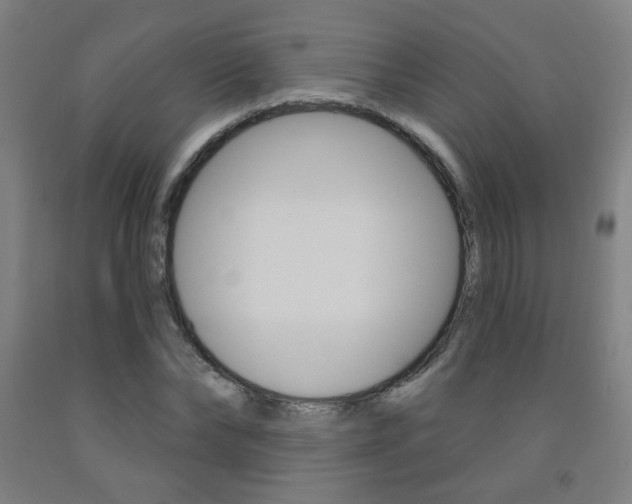 X0000093260878200709261616