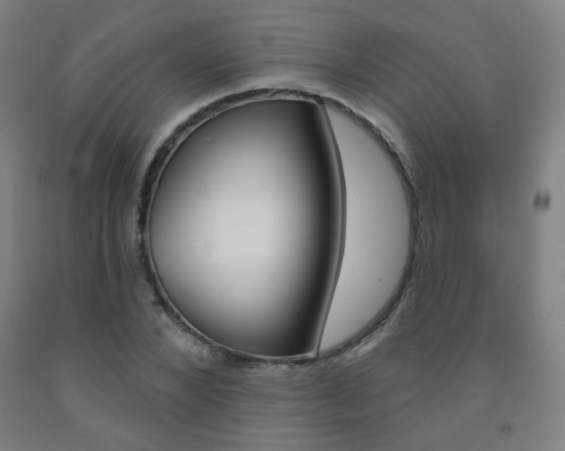 X0000093260880200709261616