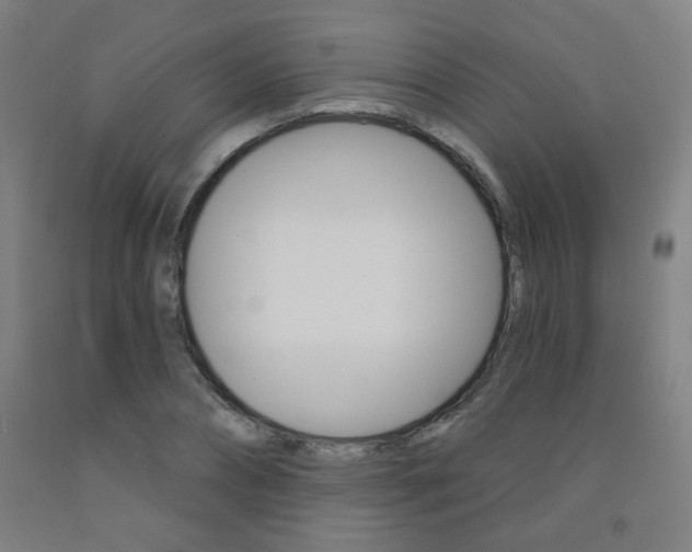 X0000093260882200709261616