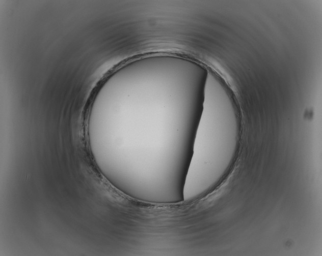 X0000093260883200709261616