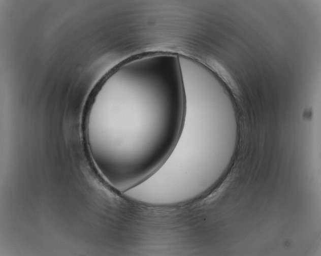X0000093260884200709261616