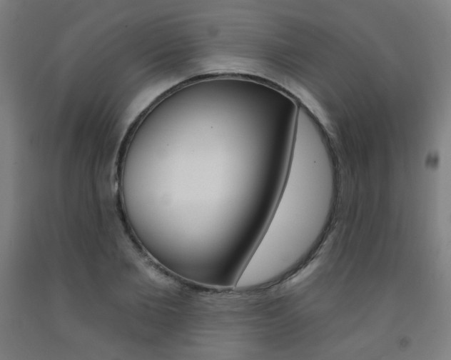 X0000093260885200709261616
