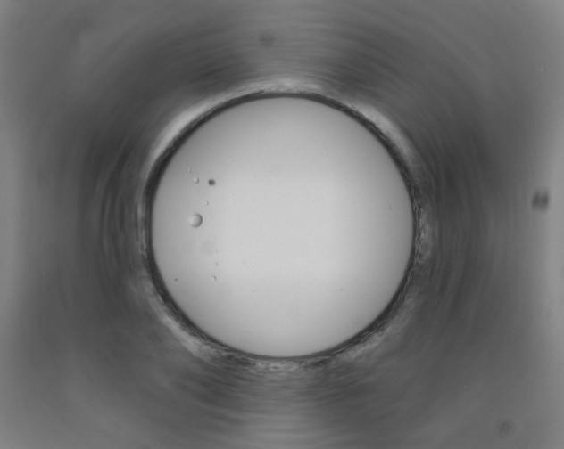 X0000093260886200709261616