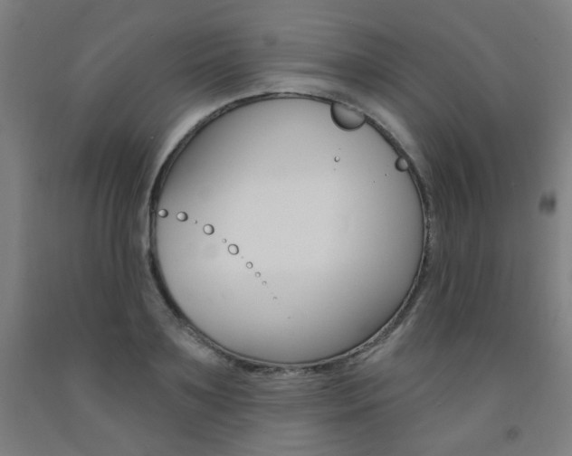 X0000093260891200709261616
