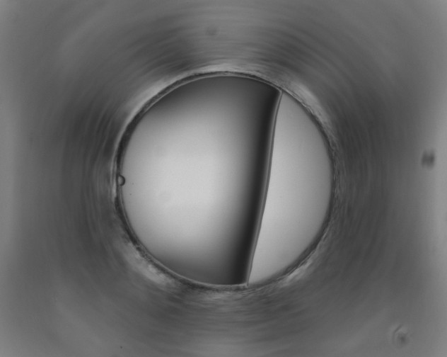 X0000093260892200709261616
