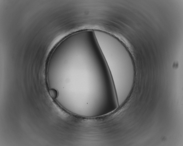 X0000093260894200709261616