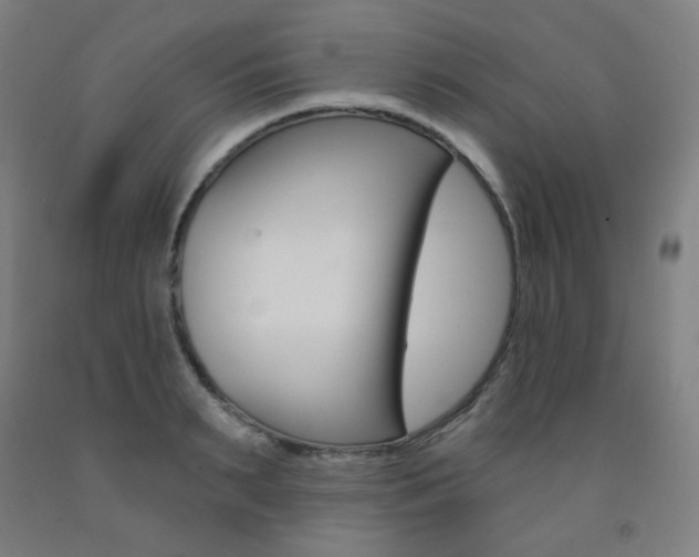 X0000093260895200709261616