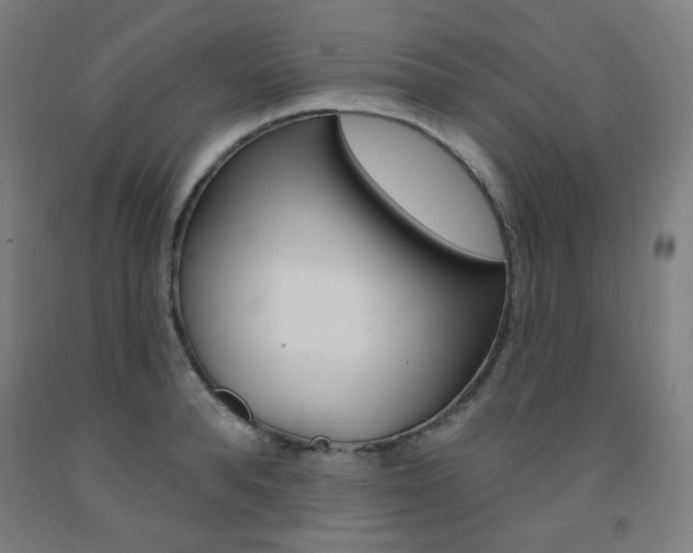 X0000093260896200709261616