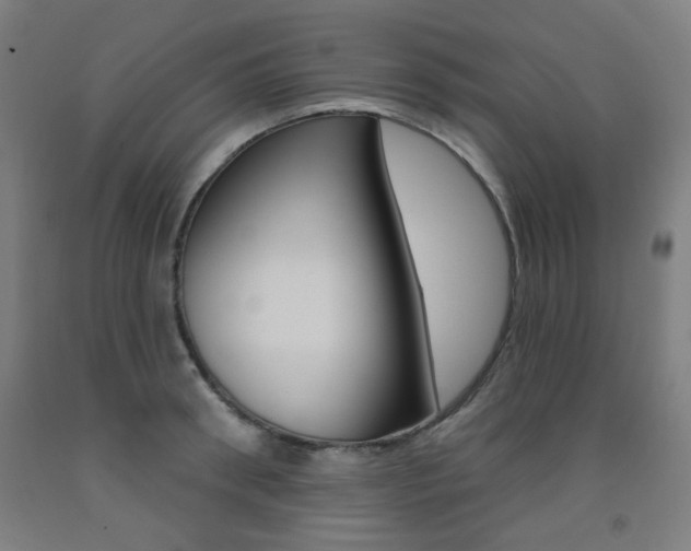 X0000093260898200709261616