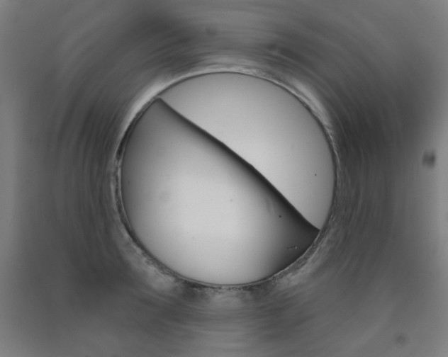 X0000093260899200709261616