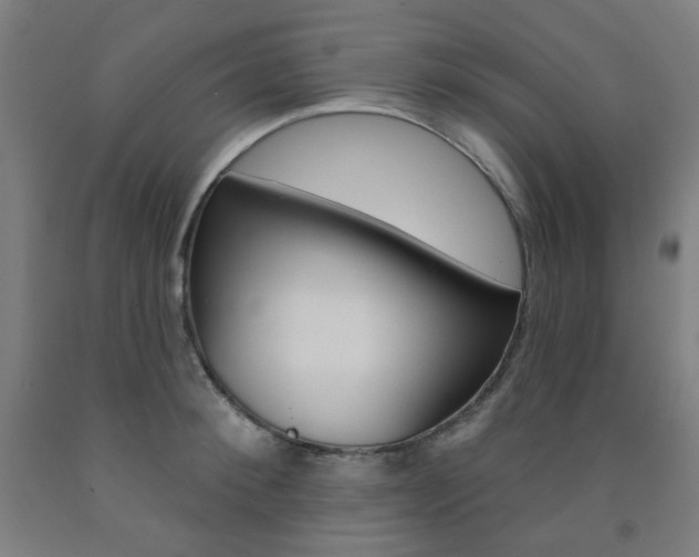 X0000093260900200709261616