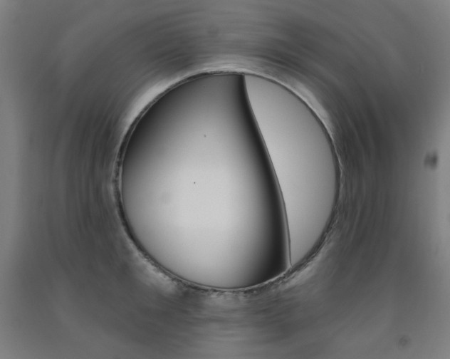 X0000093260901200709261616