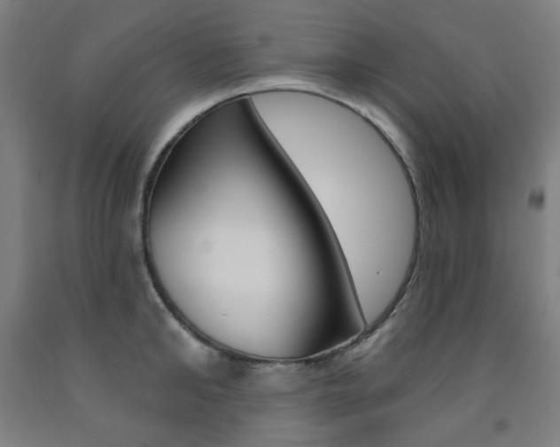 X0000093260902200709261616