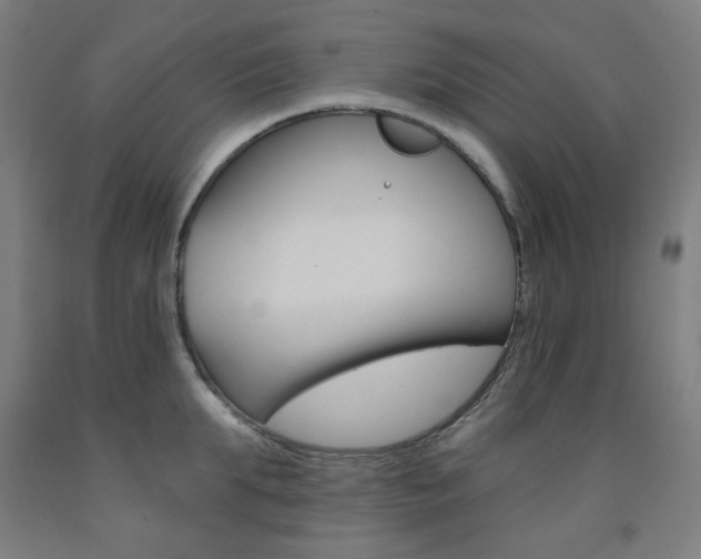 X0000093260903200709261616