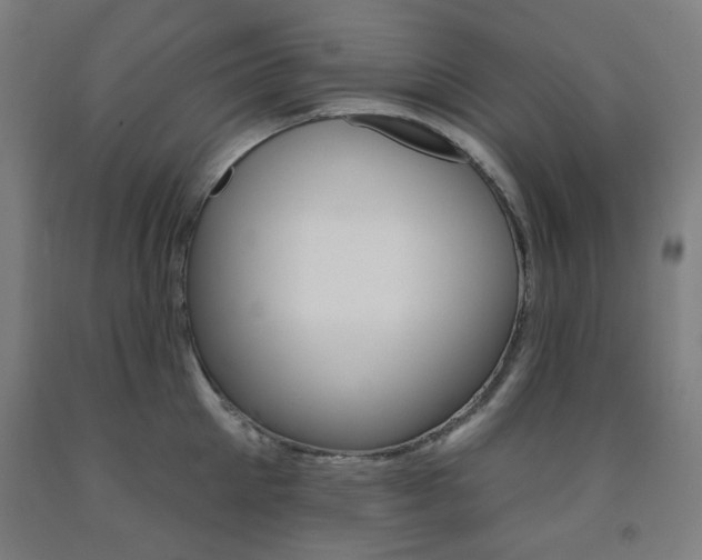 X0000093260905200709261616