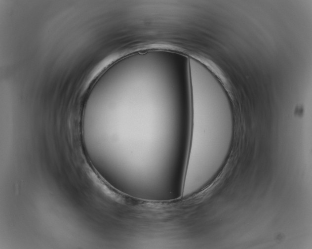 X0000093260910200709261615
