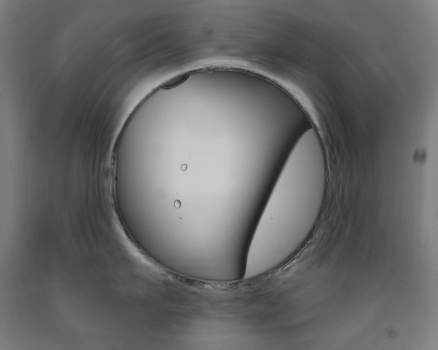 X0000093260911200709261615