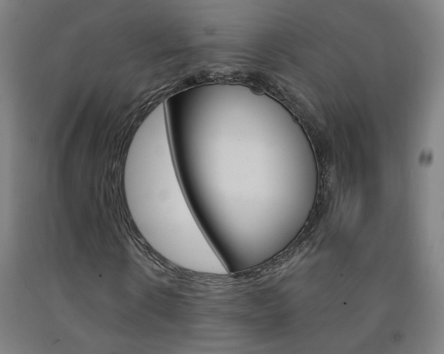 X0000093260914200709261615