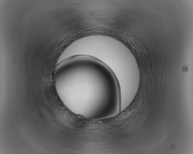 X0000093260916200709261615
