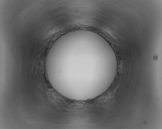 X0000093260917200709261615
