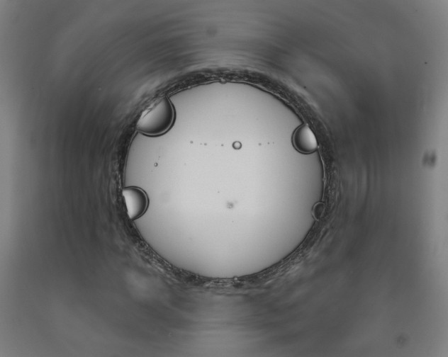 X0000093260918200709261615