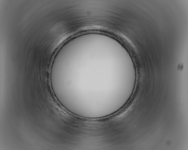 X0000093260921200709261615