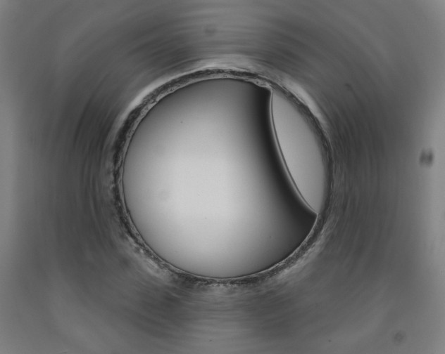 X0000093260923200709261615